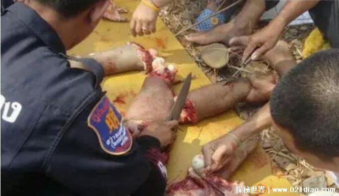 泰国恐怖事件真实图片